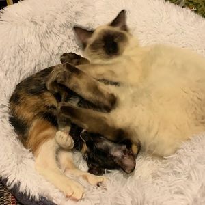 Meet your Posher, Deborah